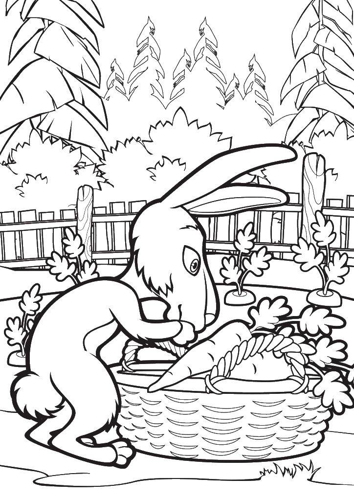 Раскраски для детей про озорную Машу из мультфильма Маша и медведь  Кролик