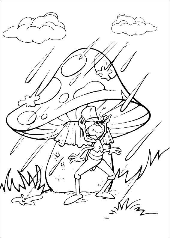  Кузнечик под грибочком во время дождя