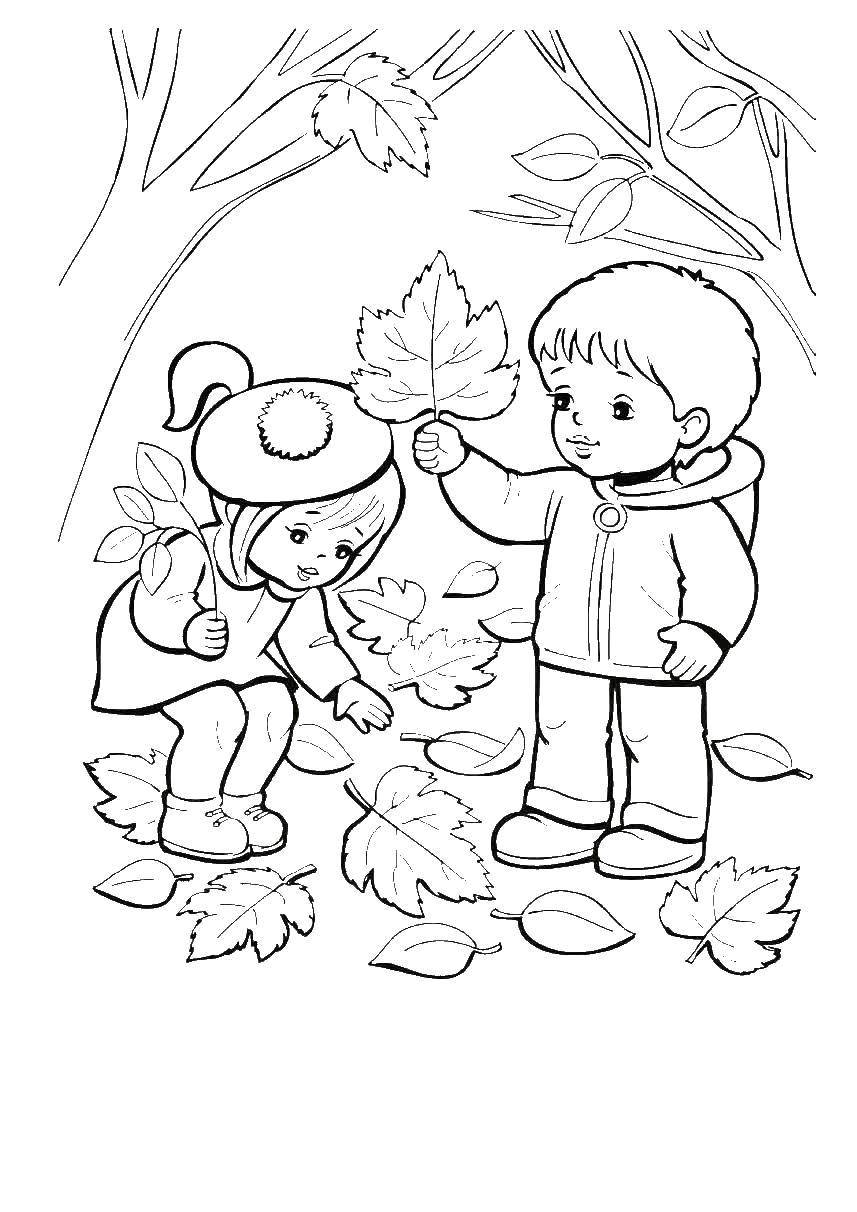  Мальчик и девочка собирают листья в лесу