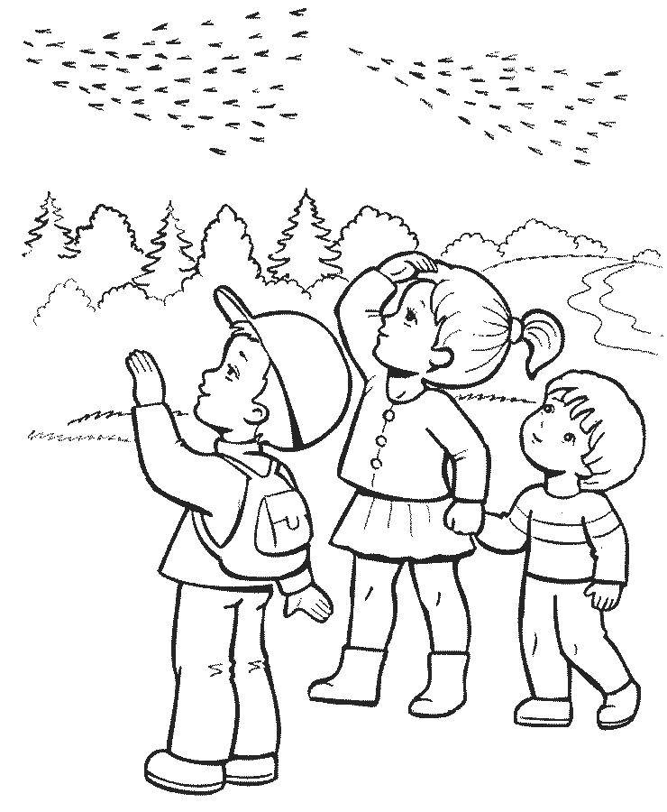Дети возле леса  Дети смотрят, как улетают птицы