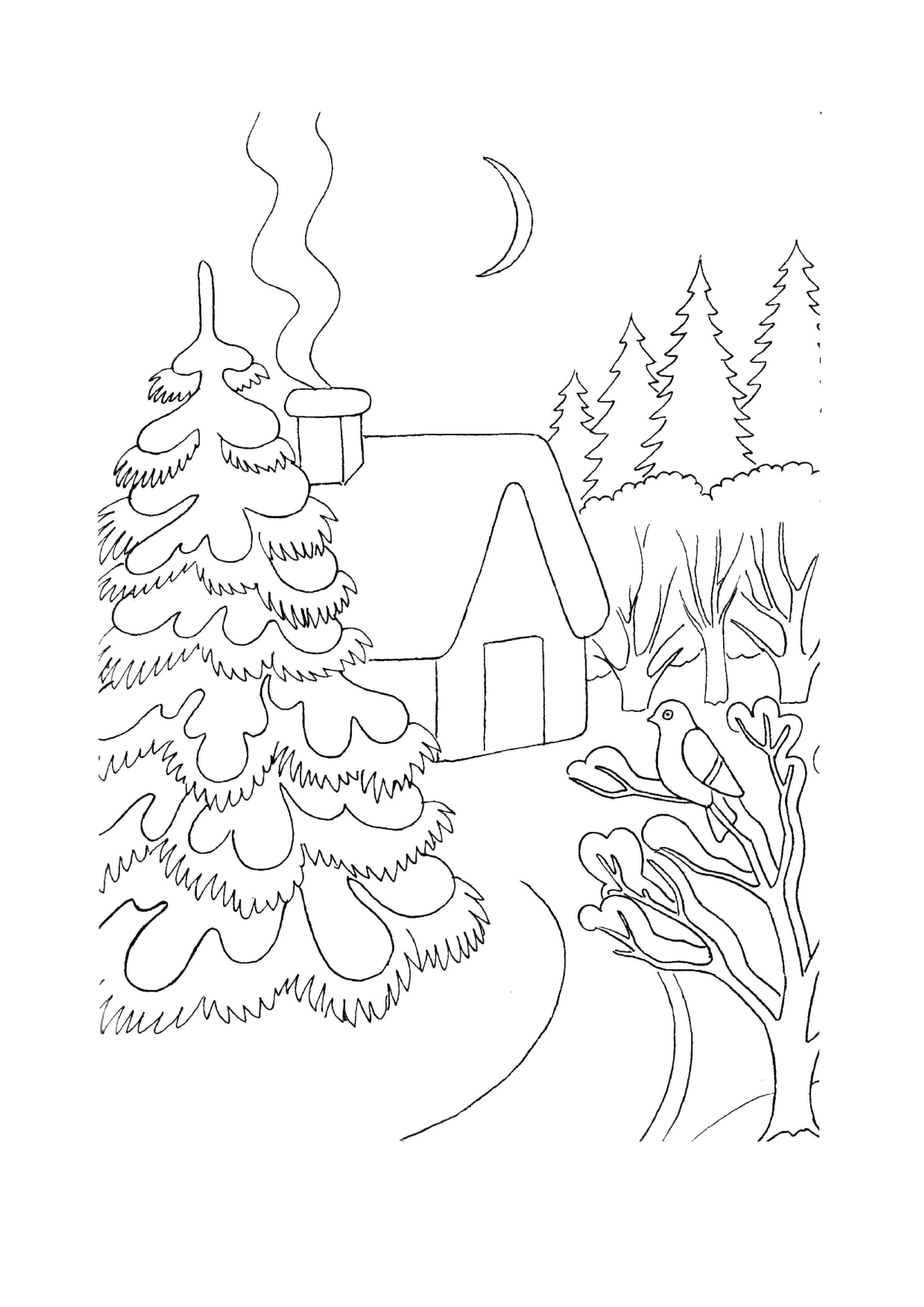 Раскраски для детей Зима, зимушка раскраски для школьников  Снег на ветвях ели