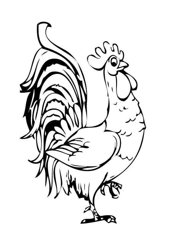 Раскраски птиц курица  петух яйцо цыпленок  Рисунок петуха