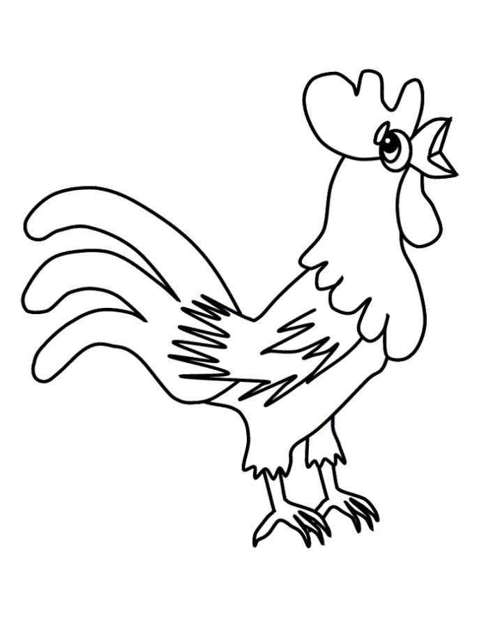 Раскраски птиц курица  петух яйцо цыпленок  Рисунок петух