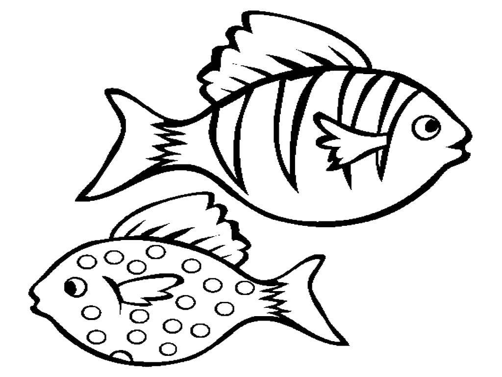 Раскраски рыба рыбы  Рыба в крапинку и полосатая рыбка