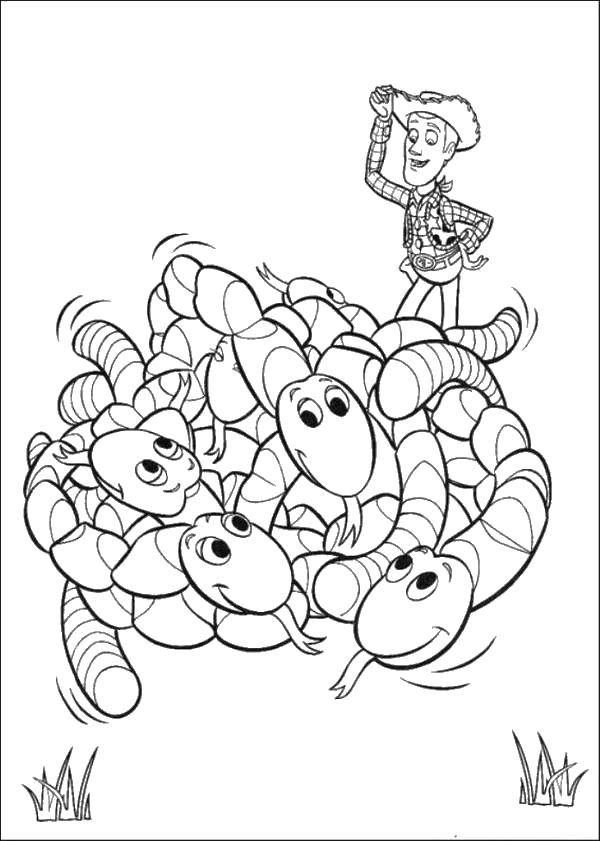 Раскраски  с Вуди по мультфильму Истории игрушек  Шериф вуди с червячками
