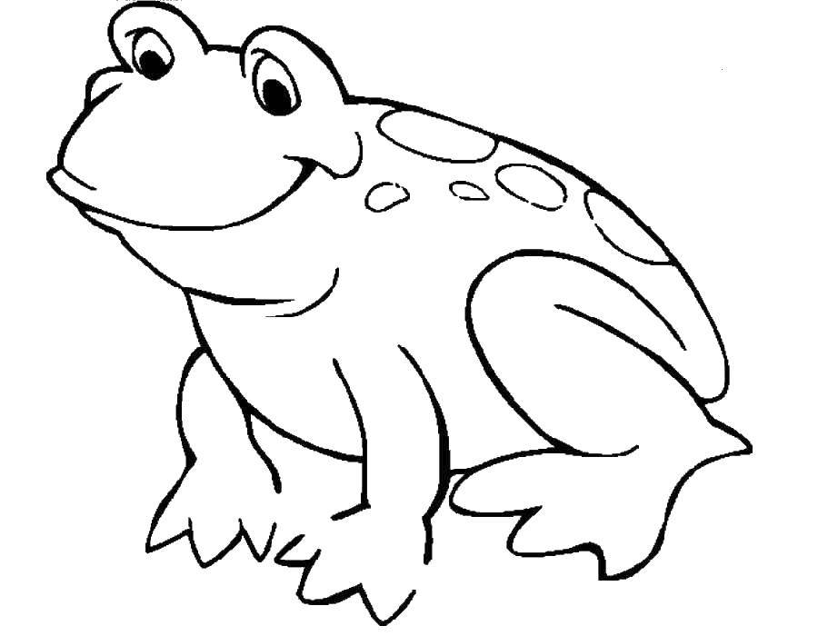 Раскраски лягушка лягушки  Веселая лягушка