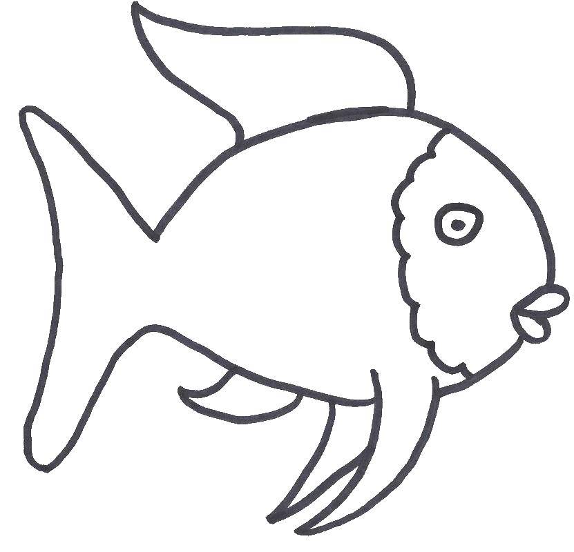 Раскраски рыба рыбы  Рыба