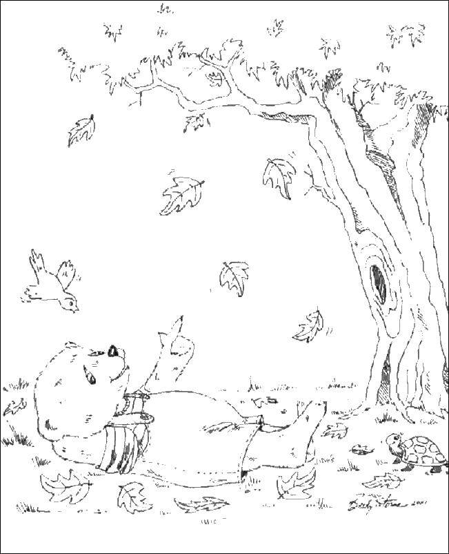  Мишка и опавшие листья