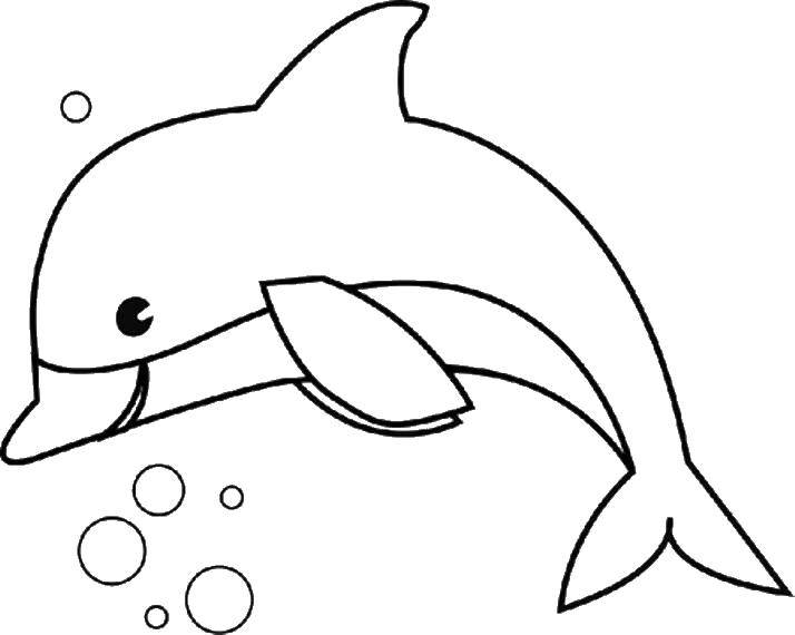 Раскраски дельфины дельфин   Дельфин и пузыри