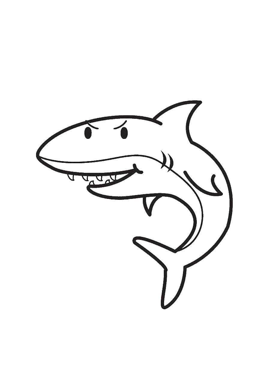 раскраски акула акулы   Акула с острыми зубами