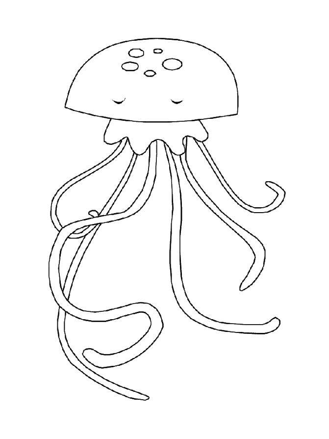 Раскраски медуза медузы  Медуза