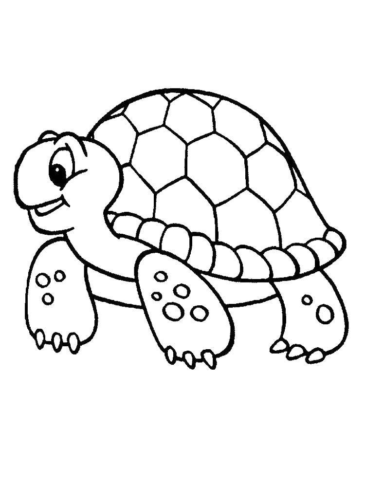 Раскраски Черепаха черепашка  Улыбающаяся черепаха