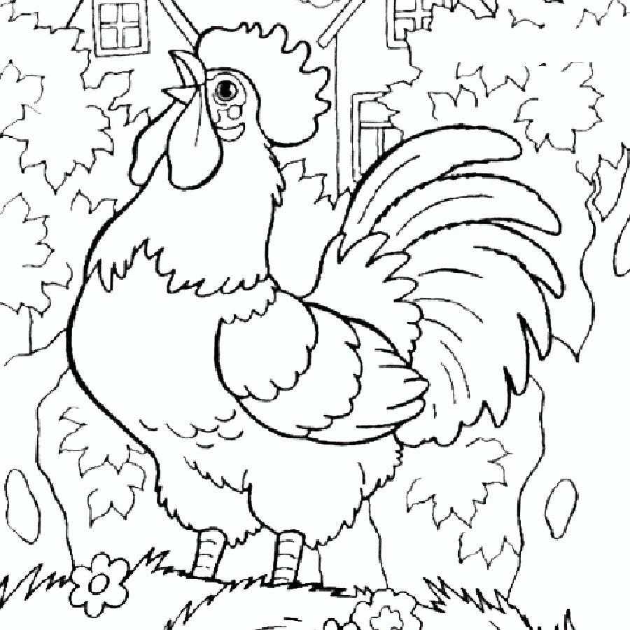 Раскраски птиц курица  петух яйцо цыпленок  Рисунок петуха на ферме