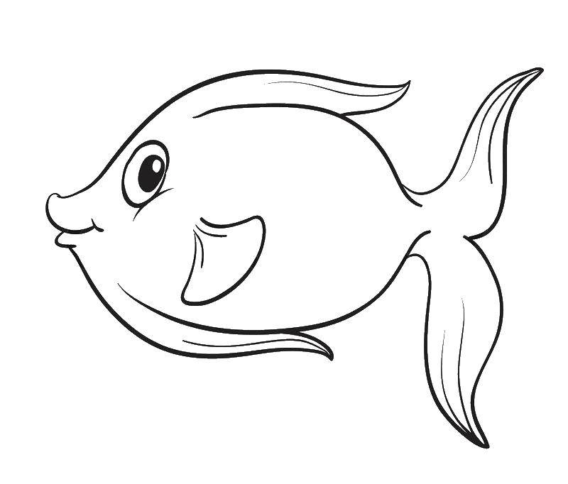 Раскраски рыба рыбы  Рыба с большим глазом
