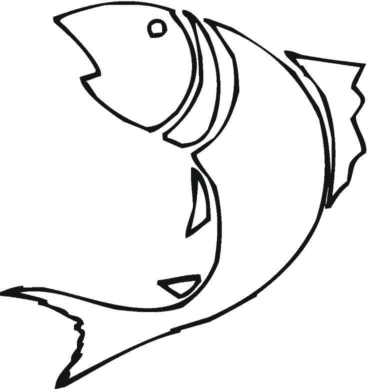 Раскраски рыба рыбы  Рыба с плавником
