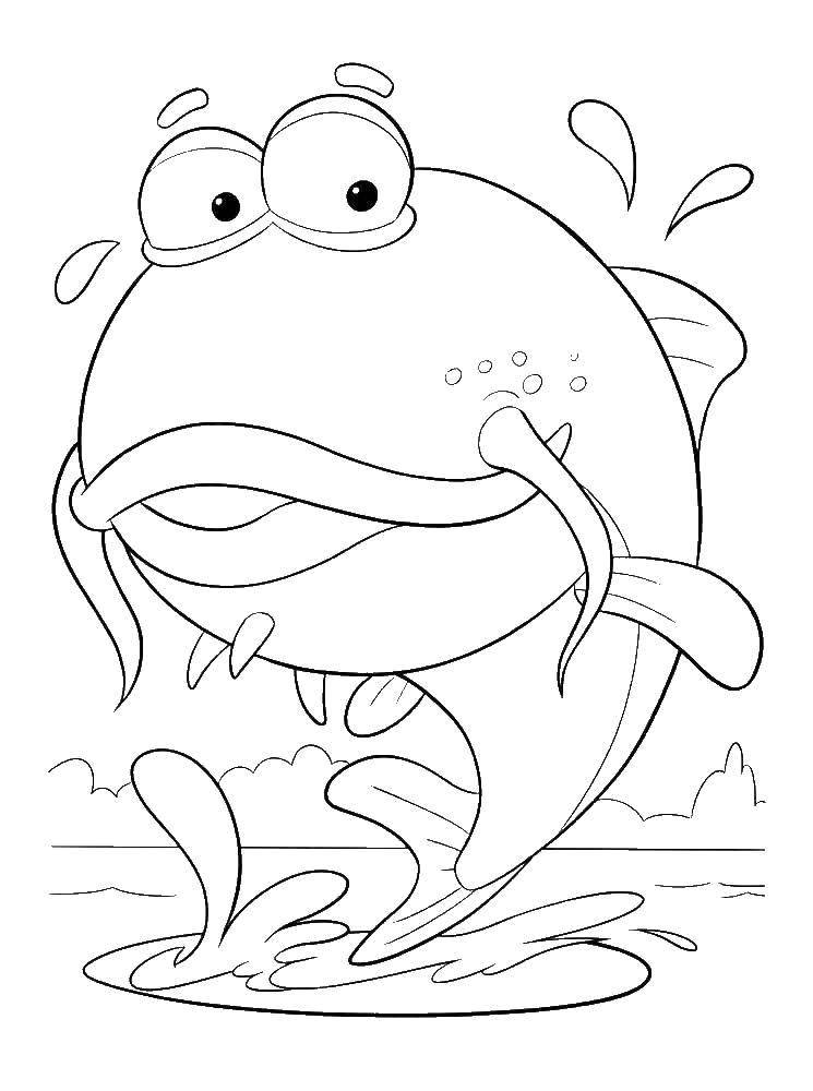 Раскраски про приключения рыбки Дори и его друзей.  Сом выпрыгивает из воды