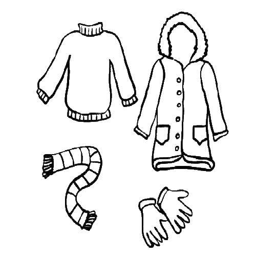  Набор зимней одежды