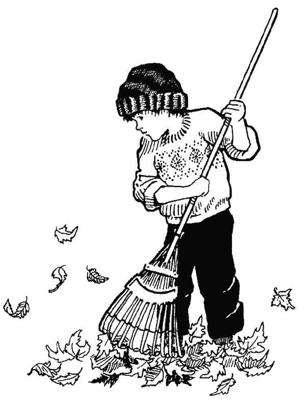  Мальчик убирает листву