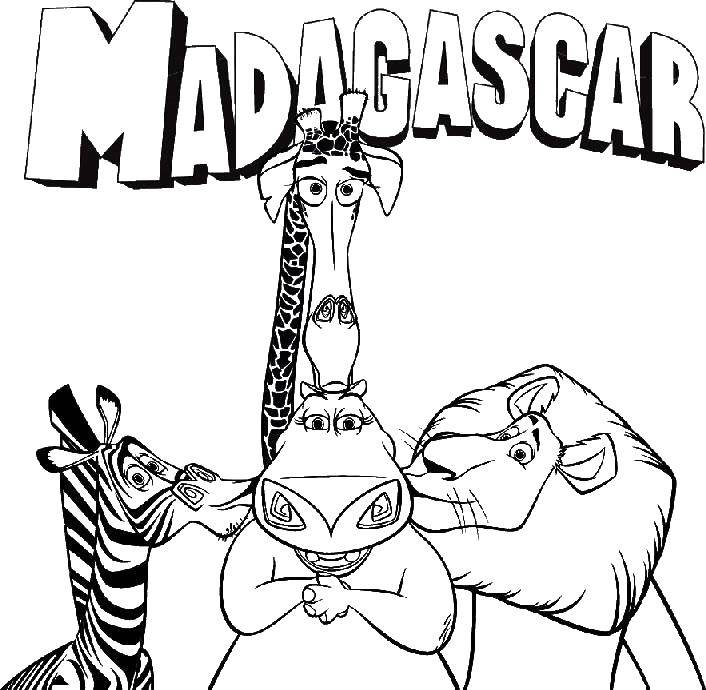 Раскраски Мадагаскар, смешные и весёлые раскраски про животных для детей.  Мультик мадагаскар