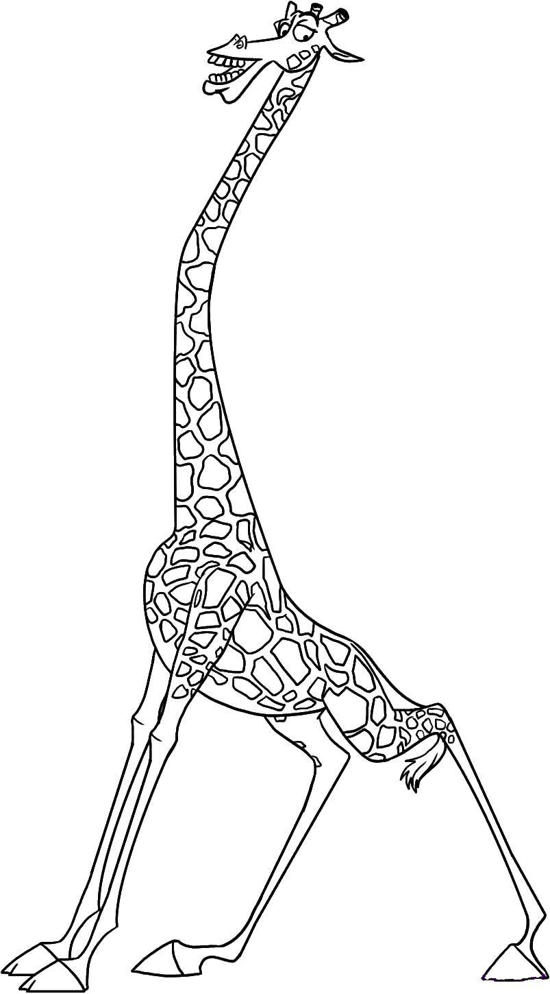  Жираф из мадагаскара