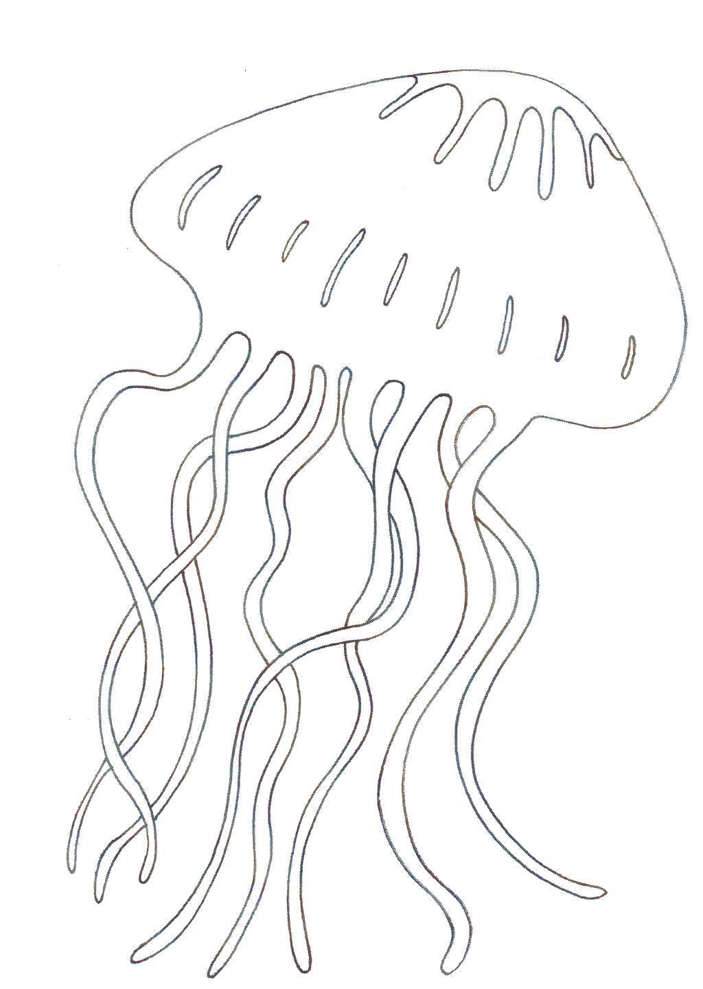 Раскраски медуза медузы  Медуза в океане