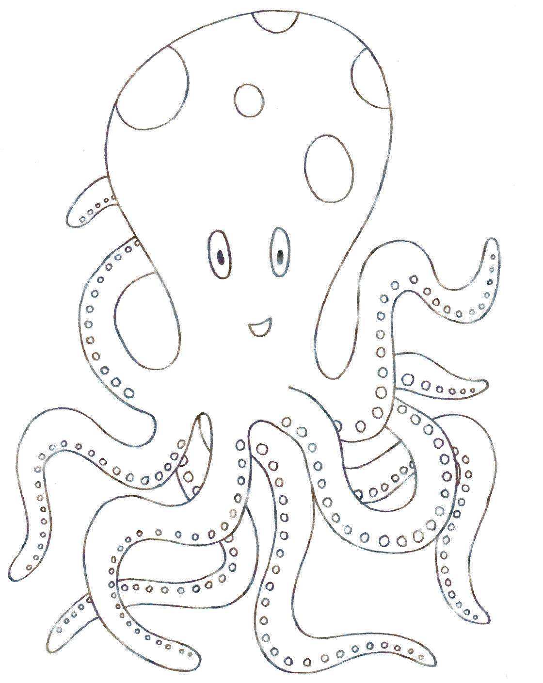 Раскраски осьминог осьминоги  Осьминог