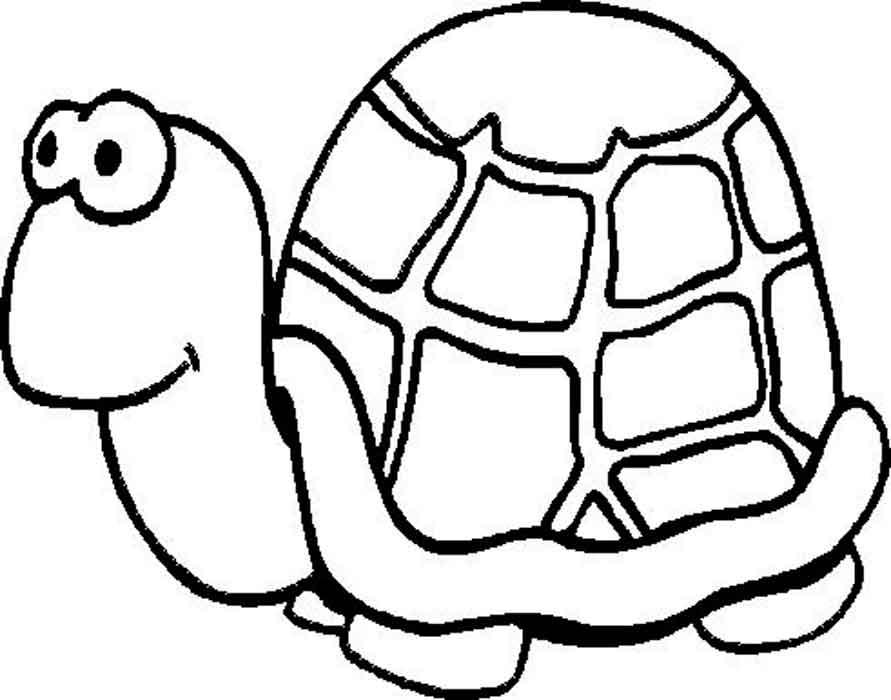 Раскраски Черепаха черепашка  Скачать или распечатать раскраску распечатать скачать, черепаха