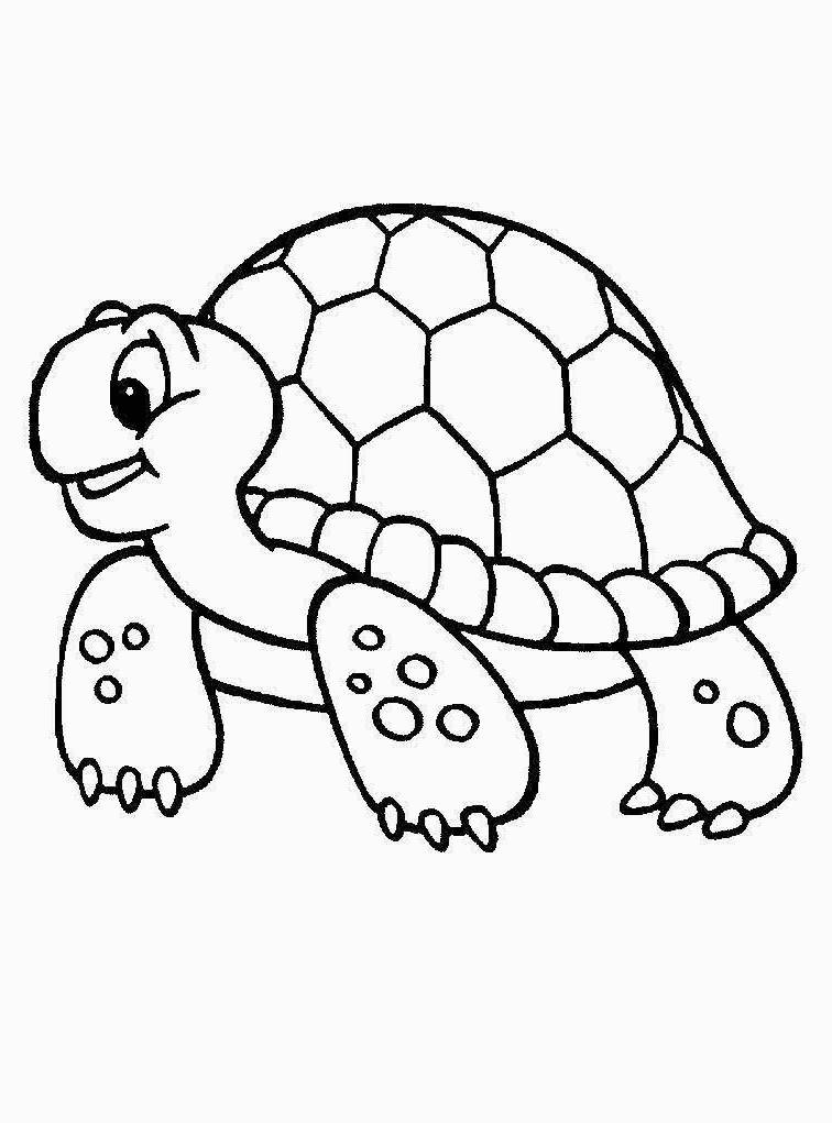 Раскраски Черепаха черепашка  Распечатать раскраску для самых маленьких, черепаха