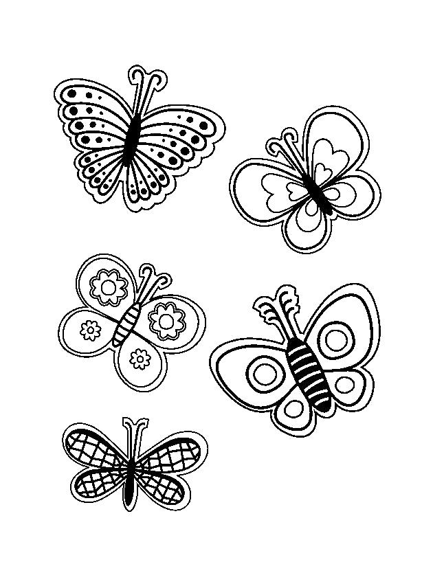 раскраски бабочки красивая бабочка  бабочки, бабочки летают