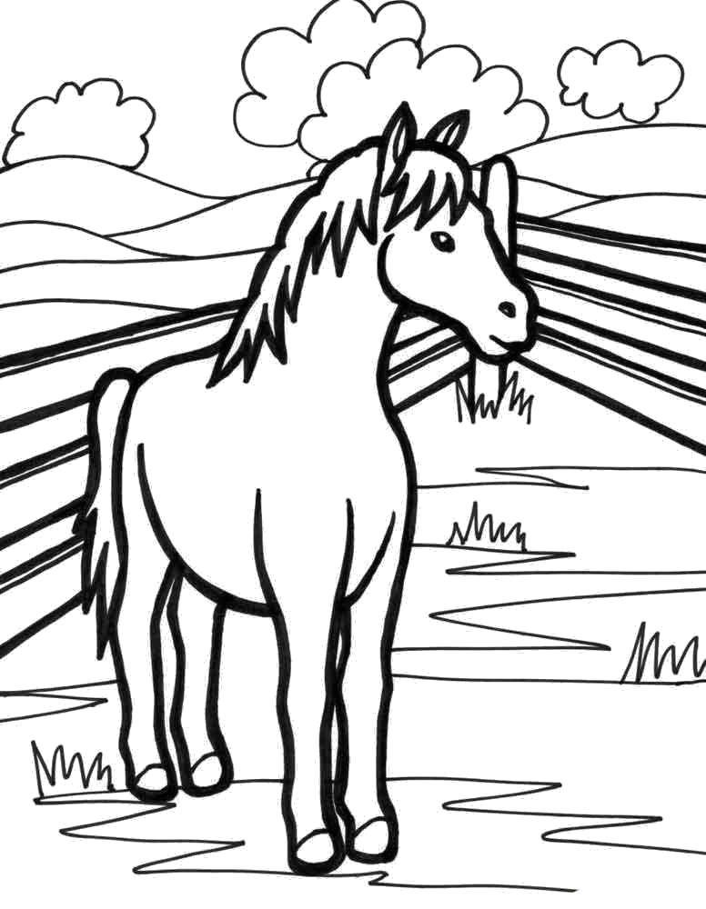 Раскраски с лошадьми, кобыла, жеребенок, конь раскраска  Раскраска лошадь