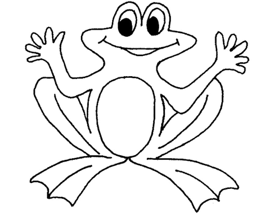 Раскраски лягушка лягушки  Раскраска лягушка