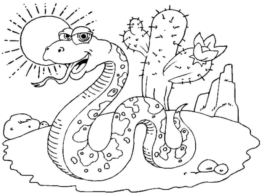  Змея в пустыне Змея греется на солнце возле цветущего кактуса.