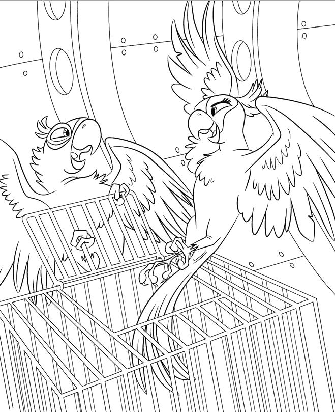 Раскраски по Рио мультфильм про попугаев  мульт Рио. попугаи вылетают из клетки