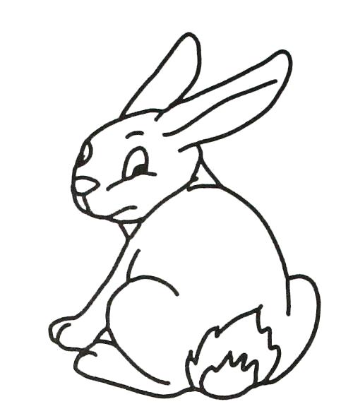 заяц зайчиха зайчата раскраска для детей  Раскраска заяц