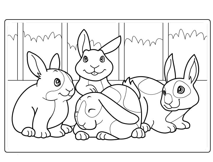 заяц зайчиха зайчата раскраска для детей  Заяц и кролики