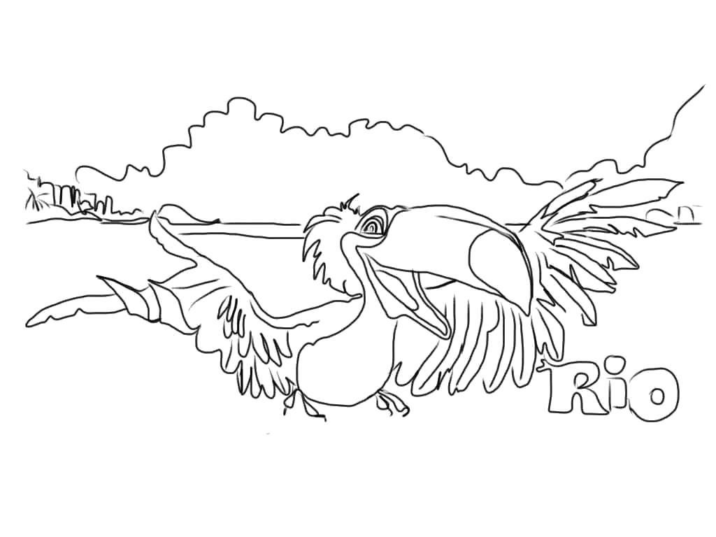 Раскраски по Рио мультфильм про попугаев  попугай Голубчик, Голубой Ары, мульт Рио
