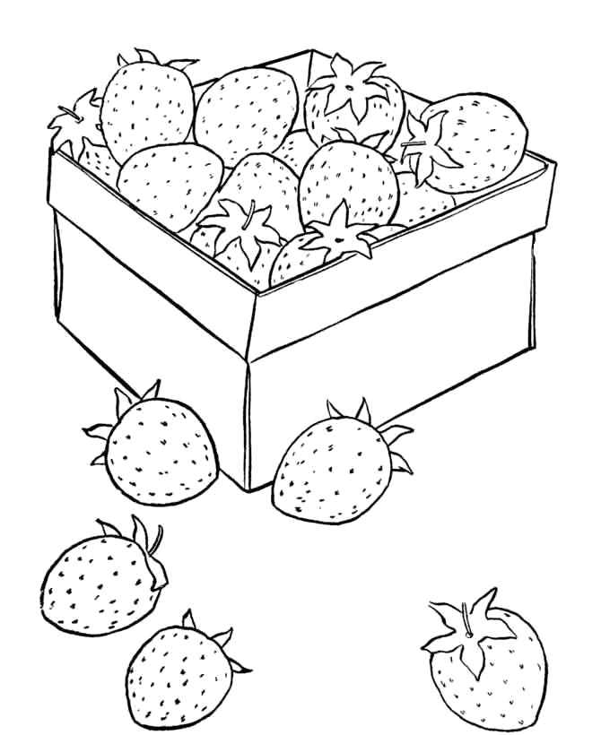 Раскраски ягоды малина вишня арбуз вишня крыжовник  клубничка