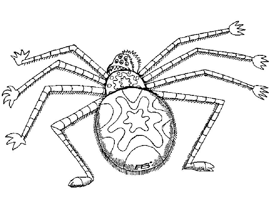 Раскраски пауки паук паучки  Раскраска паук