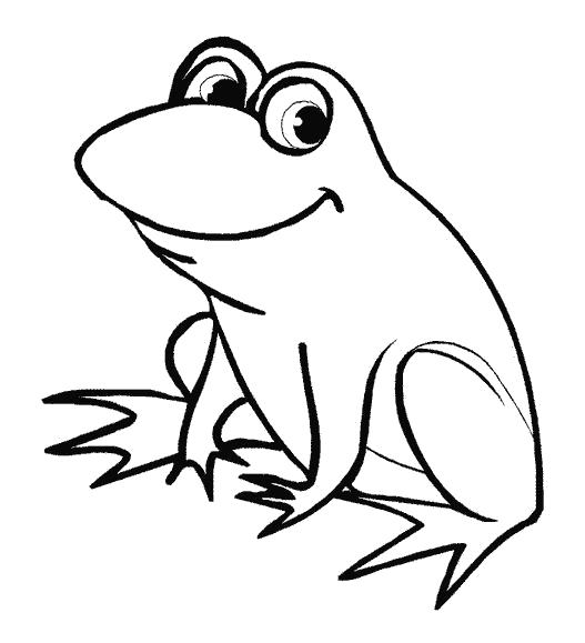 Раскраски лягушка лягушки  frog