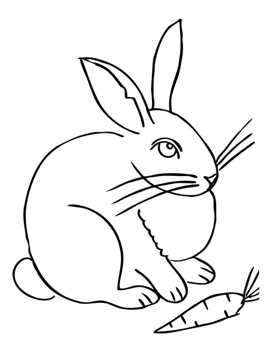 заяц зайчиха зайчата раскраска для детей  Раскраска заяц