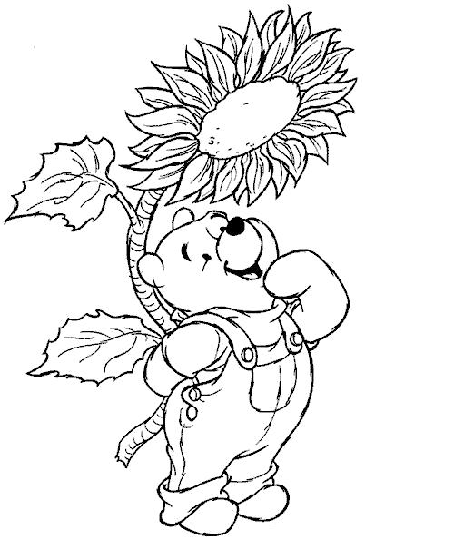 Раскраски из зарубежного мультфильма про Винни Пуха и его друзей для самых маленьких   Большой подсолнух
