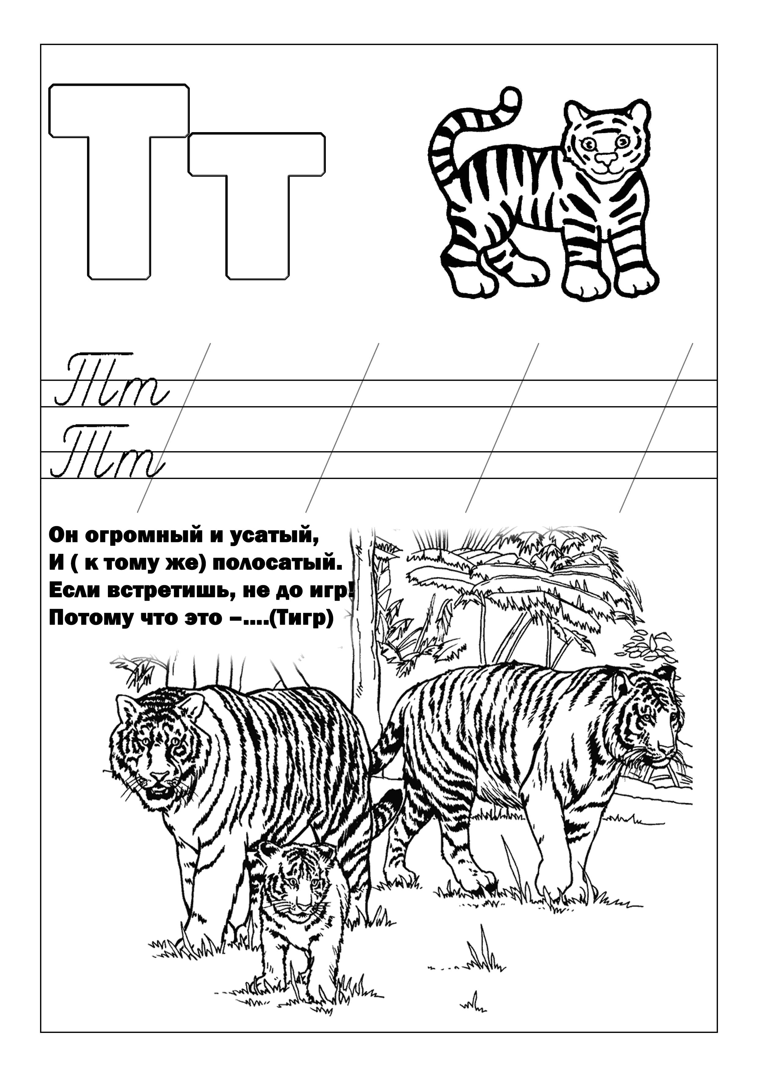 алфавит русского языка   Т тигр