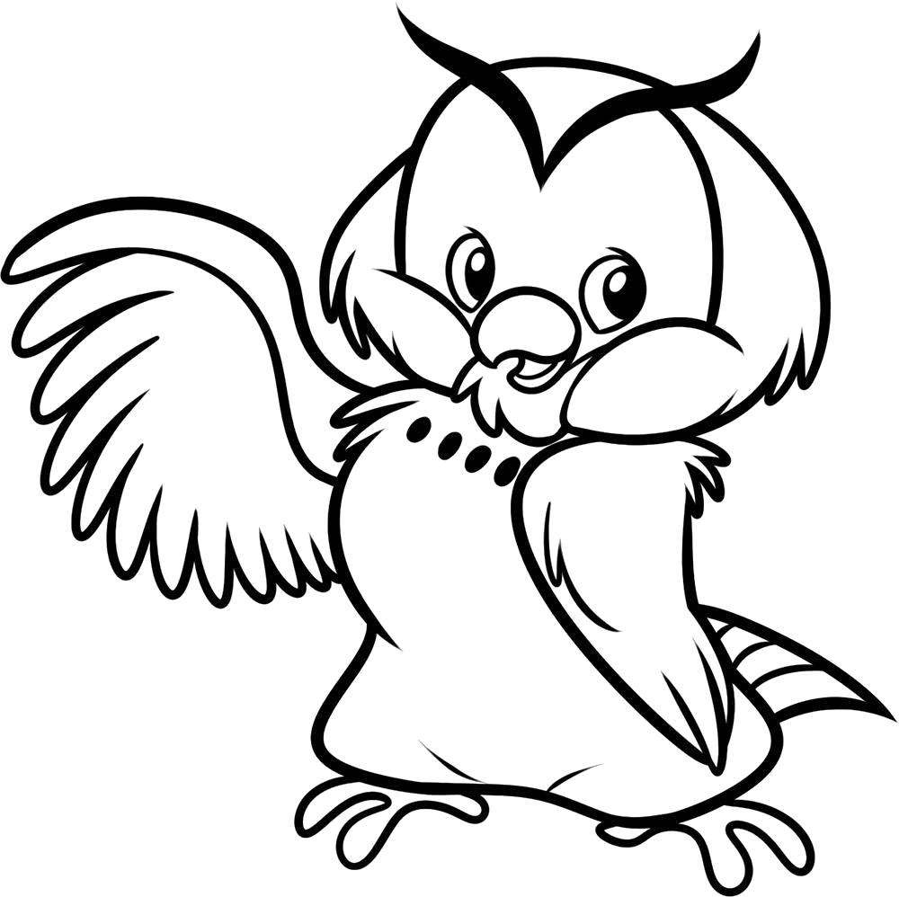 Раскраски сова совы  Раскраска сова