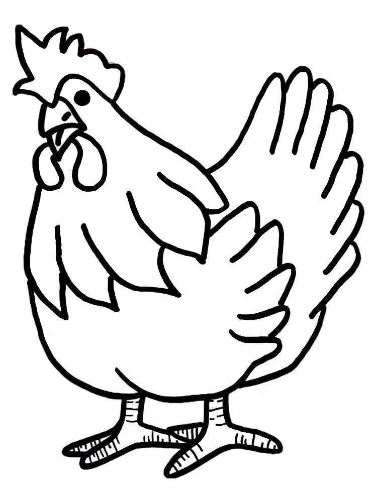 Раскраски птиц курица  петух яйцо цыпленок  Пухлый петух