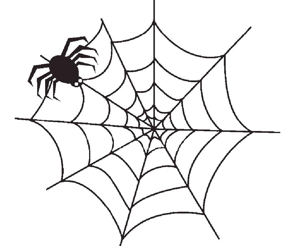 Раскраски пауки паук паучки  Раскраска паук
