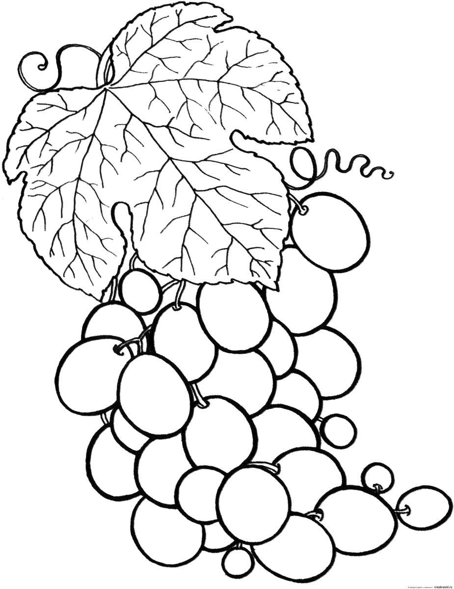  виноградная гроздь с листиком