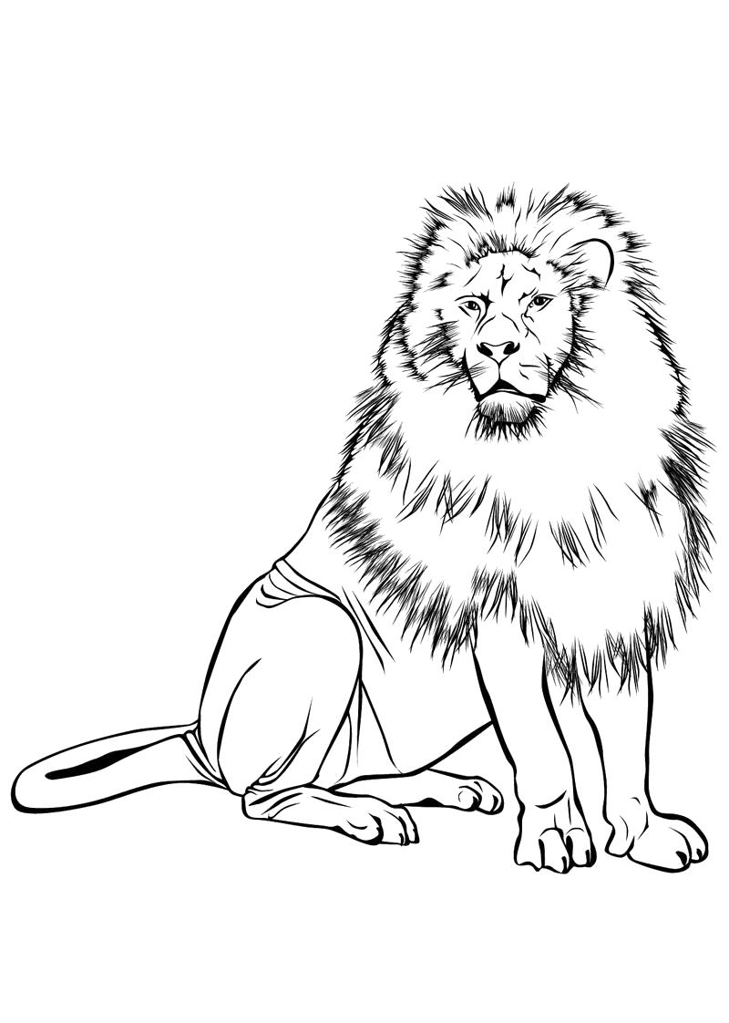 Раскраски про львов, львиц, львят  Лев король.