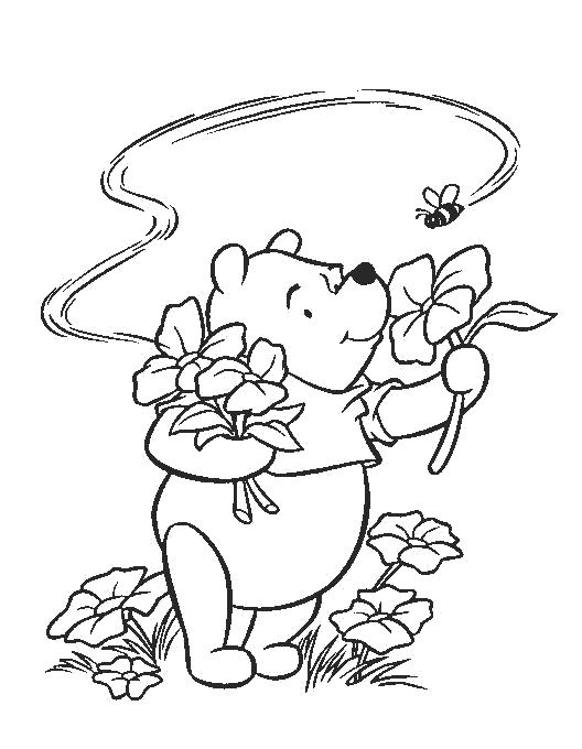 Раскраски из зарубежного мультфильма про Винни Пуха и его друзей для самых маленьких   Цветы на лугу
