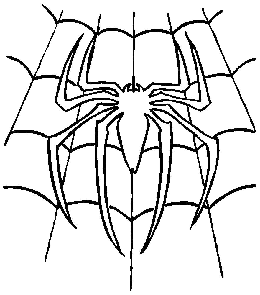 Раскраски пауки паук паучки  Раскраска паук в паутине