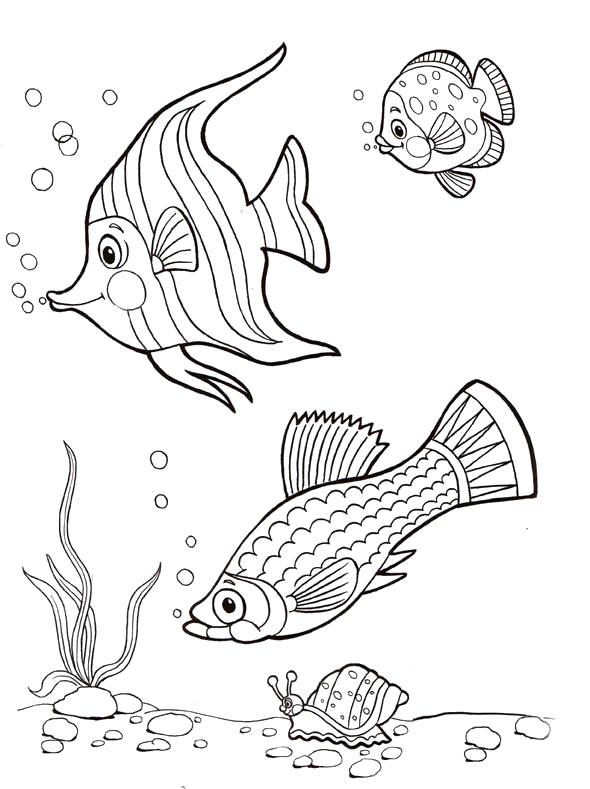 Раскраски про приключения рыбки Дори и его друзей.  рыбки купаются